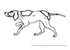 Hund-5.pdf